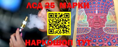 твердый Бердск