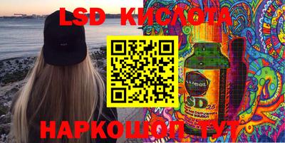 твердый Бердск