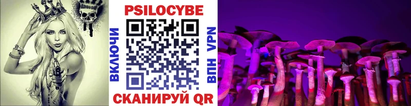 Галлюциногенные грибы Cubensis kraken рабочий сайт Карабулак наркотики