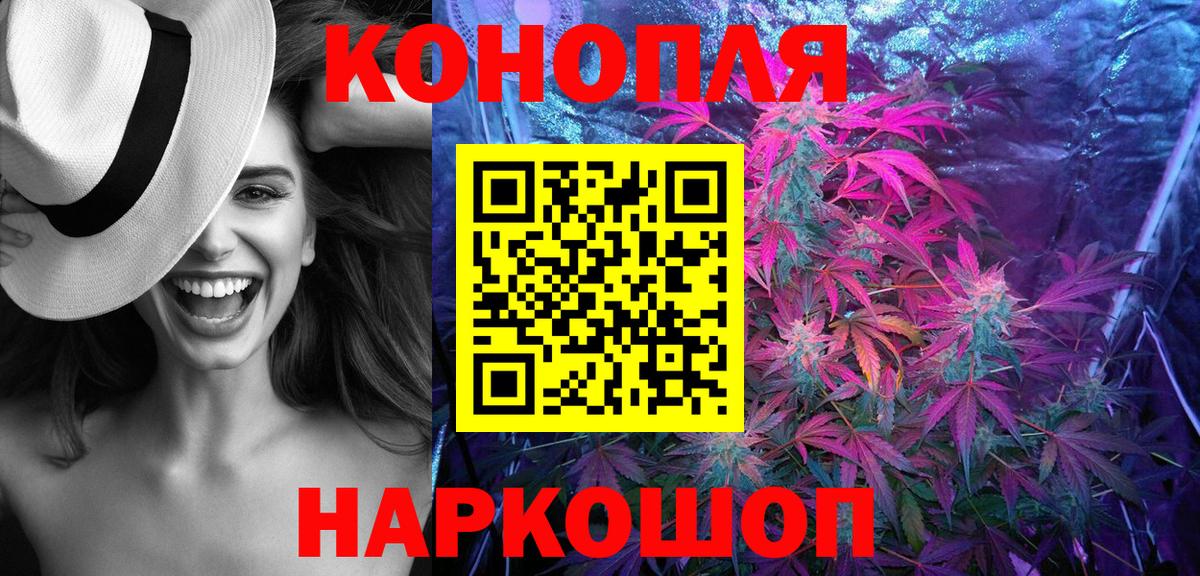 Канабис сатива Карабулак